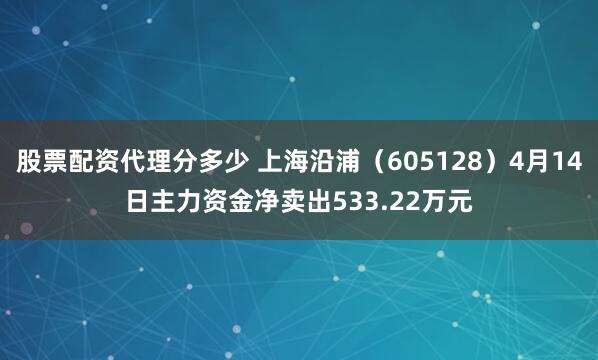 股票配资代理分多少 上海沿浦（605128）4月14日主力资金净卖出533.22万元