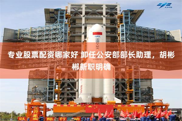 专业股票配资哪家好 卸任公安部部长助理，胡彬郴新职明确