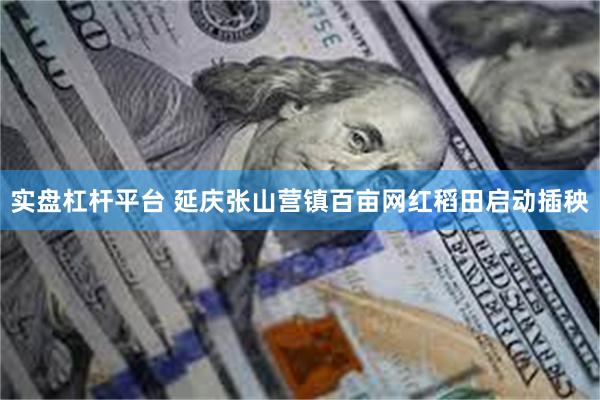 实盘杠杆平台 延庆张山营镇百亩网红稻田启动插秧