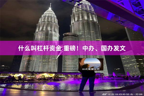 什么叫杠杆资金 重磅！中办、国办发文