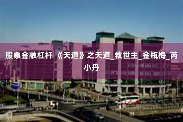 股票金融杠杆 《天道》之天道_救世主_金瓶梅_芮小丹