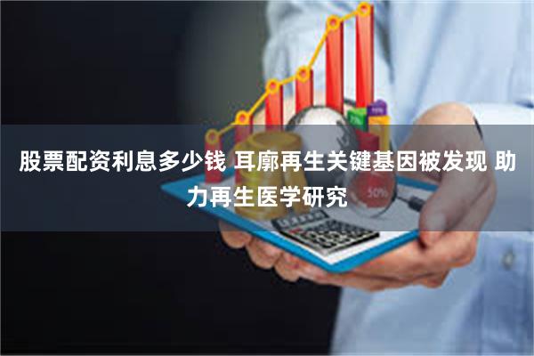 股票配资利息多少钱 耳廓再生关键基因被发现 助力再生医学研究