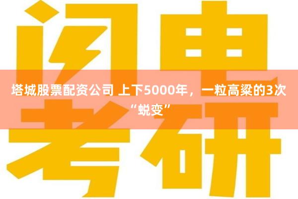 塔城股票配资公司 上下5000年，一粒高粱的3次“蜕变”