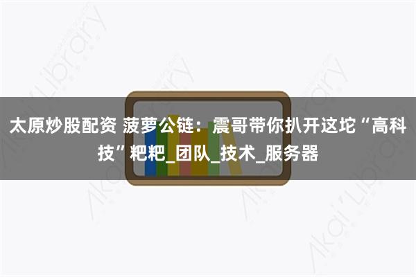 太原炒股配资 菠萝公链：震哥带你扒开这坨“高科技”粑粑_团队_技术_服务器