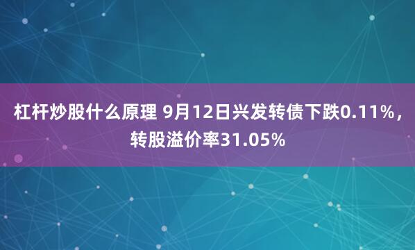 杠杆炒股什么原理 9月12日兴发转债下跌0.11%，转股溢价率31.05%