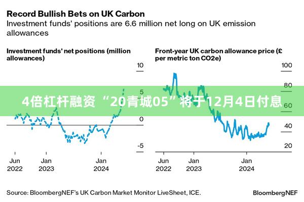4倍杠杆融资 “20青城05”将于12月4日付息