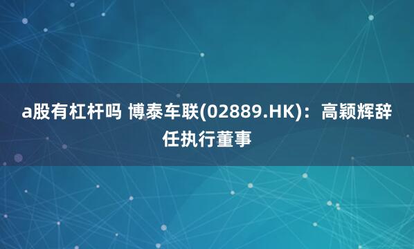 a股有杠杆吗 博泰车联(02889.HK)：高颖辉辞任执行董事